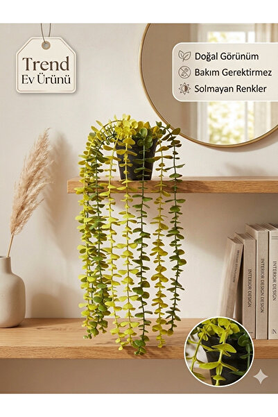 Lilac Home Özel Tasarım Iki Renkli Elmas Siyah Saksılı Nefti Ve Yeşil Okalipt...