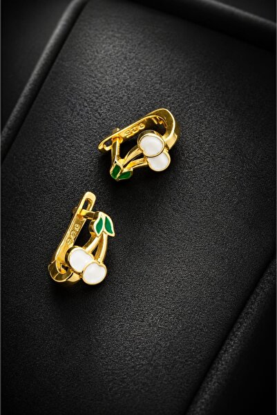 ArgintBijuterii 925 silver earrings
