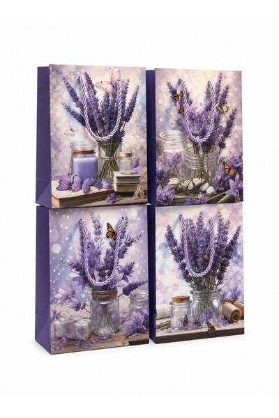OEM Pungi cadou Levantica si Futuri 12/set 18x24x8.5cm