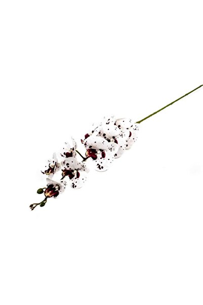 OEM Flori Artificiale Orhidee Alb Cu Picatele Grena 9/Fir