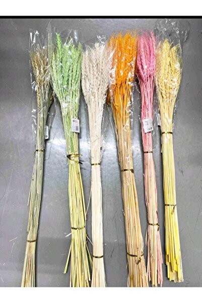OEM Dried Orange Wheat