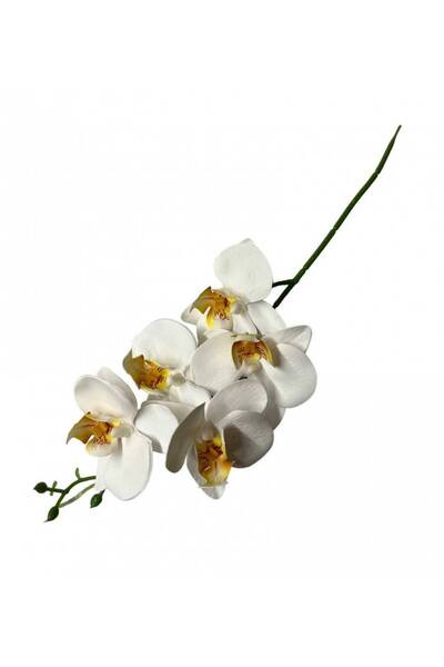 OEM Orchid 5 Flowers White