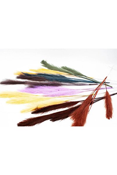 OEM Pampas Artificial Grass 01 Bleomarin