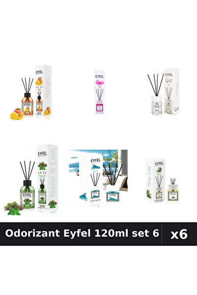 Eyfel Set 6 Odorizante Cameră Betișoare 120ml - 6 Arome Asortate, Parfum Intens