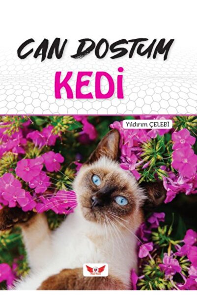 Minel Yayın Can Friend Cat