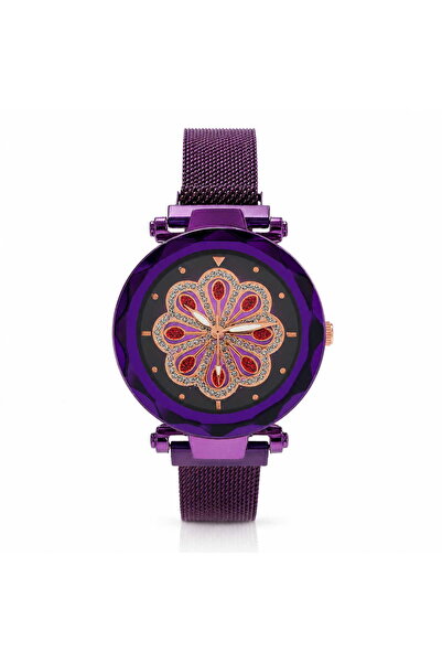 Watch Ceas dama cu bratara magnetica, Francesca di Geneva, Mov, FF230