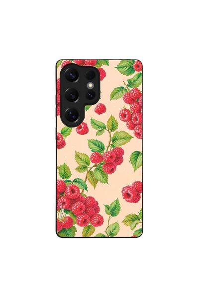 Sonique Θήκη Fruit Series για Samsung Galaxy S25 Ultra Βατόμουρο