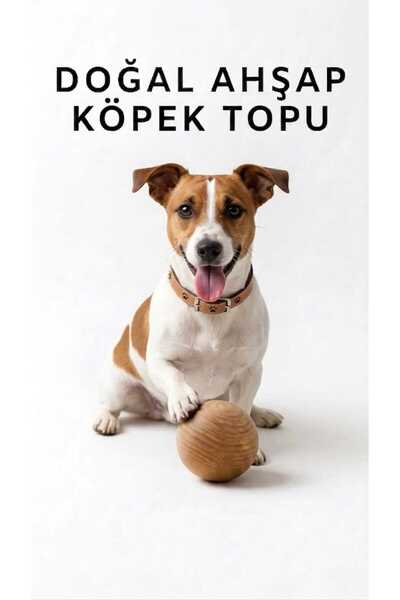 9CAN Doğal Ahşap Köpek Oyun Topu, Dayanıklı İnteraktif Köpek Oyuncağı Isırma ...