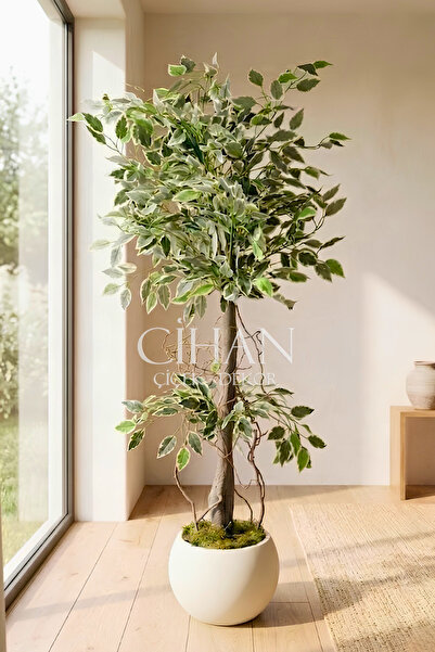 Cihan Çiçekçilik Yapay Benjamin Starlight Ağacı Beyaz-Yeşil 120 Cm Küre Saksılı