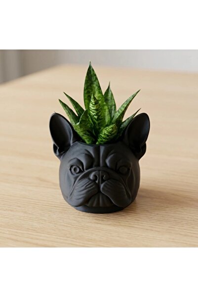 OEM Mini decorative flower pot in the shape of a bulldog head