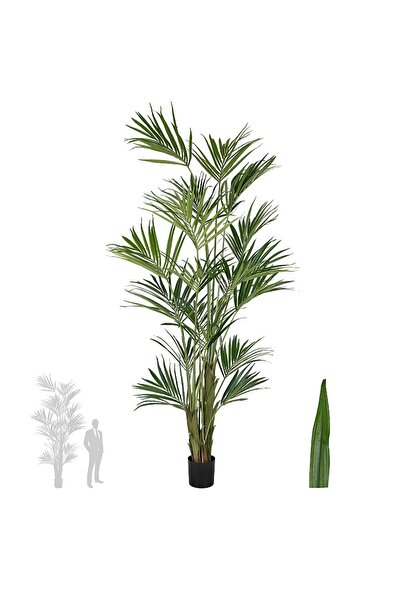Roberto Rossi Palmier artificial H270cm Kentia