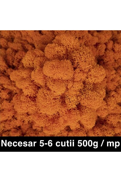 Roberto Rossi Preserved lichens, cleaned and without roots, 500g NET, ULTRA P...