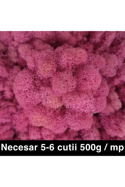Roberto Rossi Licheni curatati si fara radacina conservati 500g NET, calitate...