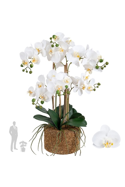 Roberto Rossi Orhidee artificiala alba cu aspect H62 cm cu 6 tulpini