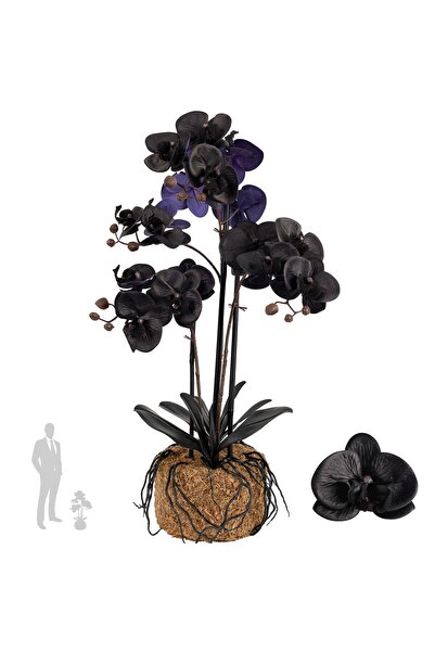 Roberto Rossi Orhidee artificiala neagra cu aspect H61 cm cu 3 tulpini cu fru...