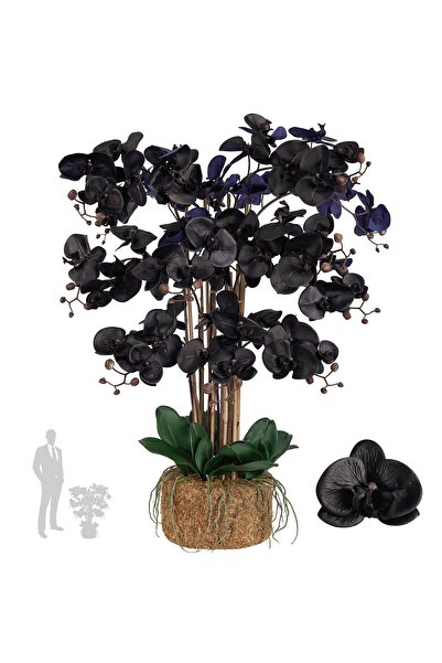 Roberto Rossi Orhidee artificiala neagra cu aspect H90 cm cu 12 tulpini si fr...