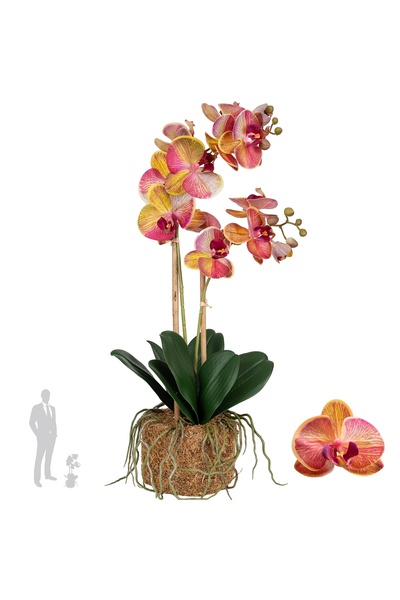 Roberto Rossi Orhidee artificiala grena cu galben cu aspect H56 cm cu 2 tulpini