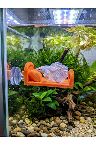 3D Betta Balığı İçin Özel Tasarım PETG Turucu Dinlenme Yatağı - 8x5 cm - Vant...