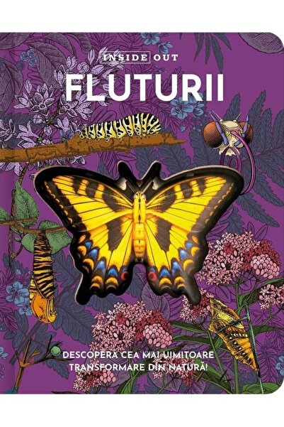 Editura Kreativ Fluturi, - Editura Kreativ