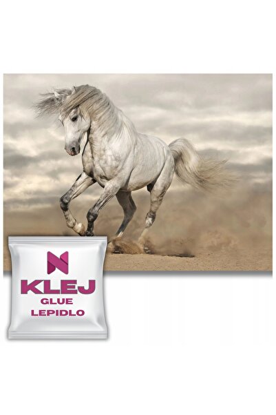 Naklejkomania Fototapet Pentru Peretele Dormitorului Cal In Galop Decoratiune...