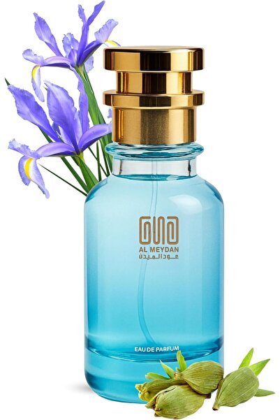 OUD AL MEYDAN Sentlee Thrity3 Inspired Oil-Based Perfume – Long Lasting Perfu...