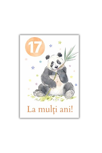 OEM Felicitare 13x18 cm cu plic, aniversare 17 ani