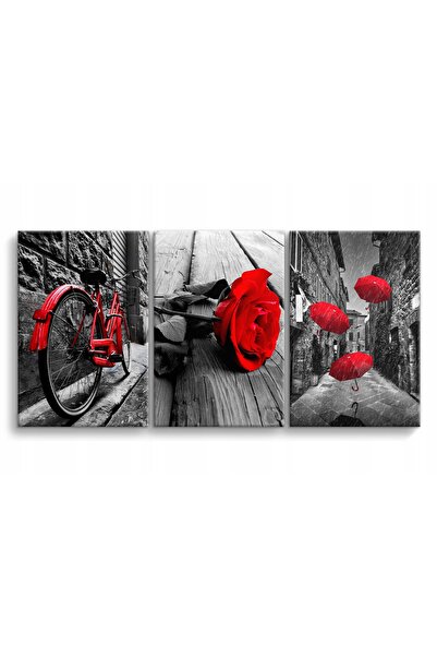 Naklejkomania Picturi pe panza triptic pentru perete in dormitor, bicicleta, ...