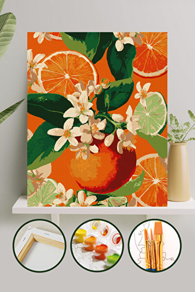 Palmiye Hobi Sanat Sayılarla Boyama 40x50 Cm Tuval Seti Fırça Boya Dahil Çıta...