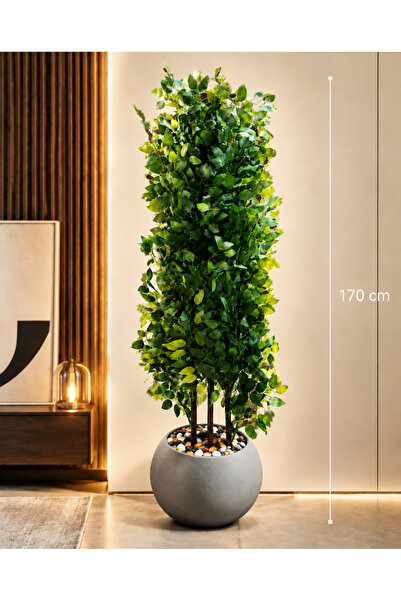 Rafef 170 cm Artificial Olive Tree with Maccony Rootstock
