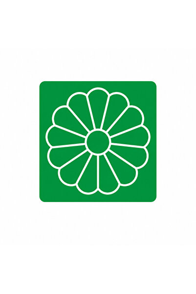 BESİNG Sashiko Daisy Pattern Embroidery Template – Reusable Fabric Embroidery...