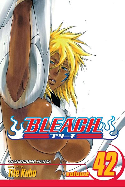 Viz Media Bleach, Volume 42 of 74 (by Tite Kubo)
