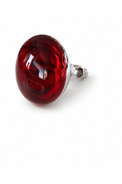LDN Infrared ısıtıcılı lamba 100 w