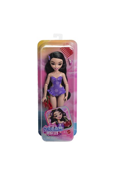 mattel BARBIE DREAM BESTIES PAPUSA BARBIE RENEE LA PLAJA CU ACCESORII