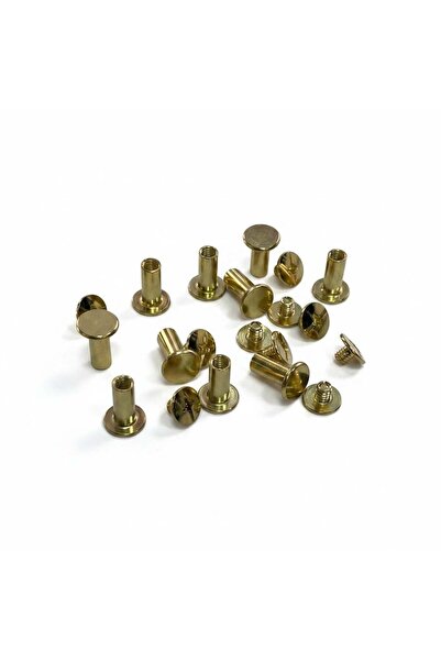 Algül Çanta Vidalı Boru Çanta, Kemer ve Menü Vidası 12 mm Gold, 25 Adet