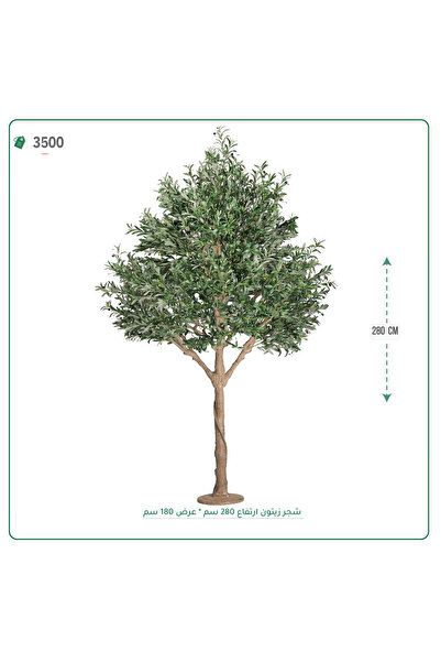 OEMS شجرة زيتون اصطناعية حوض خام { ارتفاع 280 سم }