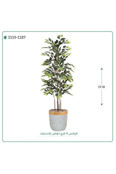 OEMS شجر فيكس صناعية حوض بلاستك { ارتفاع 170 سم }