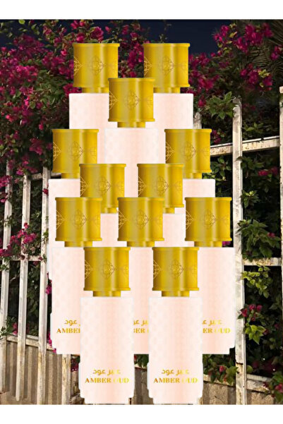 Mahabbah 12 Pieces Amber Oud Perfume 100ML
