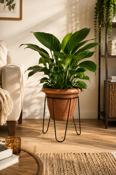 Binbirreyon Metal Footed Flower Pot Stand 19X20Cm (Pot Included) Ah510