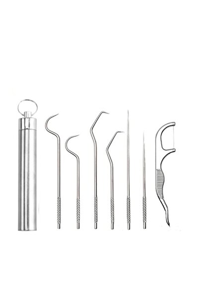 Choice1 7PCS Stainless Steel Toothpicks Pocket Set, Portable Floss Pick Reusa...