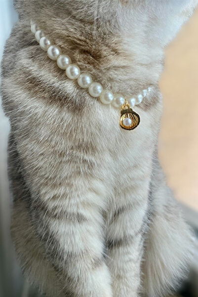BİJUTERİ EVİ İncili Kedi Tasması – Ayarlanabilir, Şık Kedi Boyun Kolyesi
