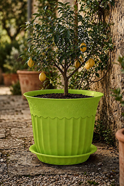 Alezy AS156 Renkli Dekoratif Desenli Antik Saksı 16.75 Litre Fıstık Yeşili