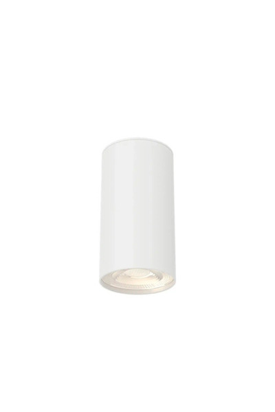 OEM Spot aplicat Braytron GU10 max. 1x35W Ø55mm, alb