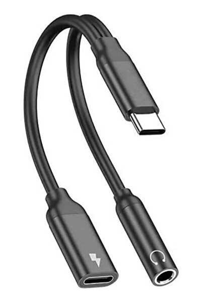 ELTRAZONE Type-C to 3.5mm Aux Headphone and Charge Converter | Audio Adapter ...