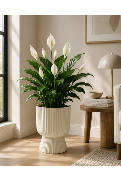 KıtayGroup Lotus Vazo Ayaklı Dekoratif İç Ve Dış Mekan Saksı 5 LT