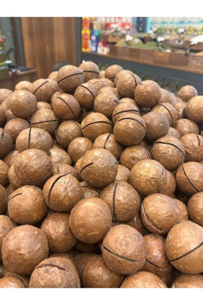 Elit Kuruyemiş Makademya Fındığı 500Gr Mağazadan Gaziantep