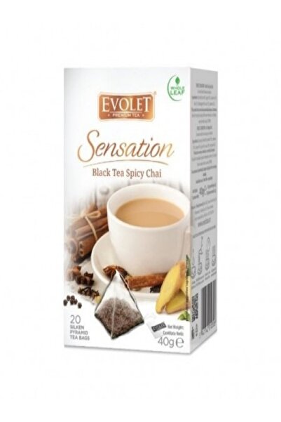 evolet Ceai Piramida Black Tea Spicy Chai 20 plicuri piramida 40g