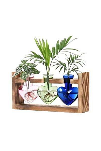 Choice Colorful Creative Colorful Heart Shaped Transparent Glass Vase Wooden ...