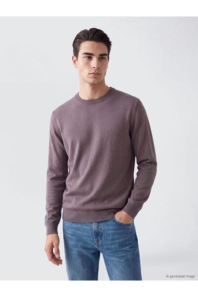 LC Waikiki Lcwaikiki Classic Purple Crew Neck Men's Knitwear Sweater