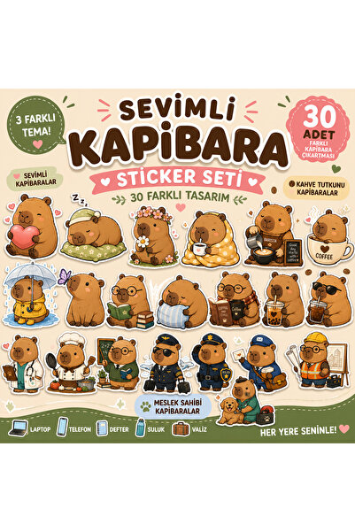 TRİMENT3D Cute Capybara Sticker Set – Pack of 30 Different Design Decorative ...