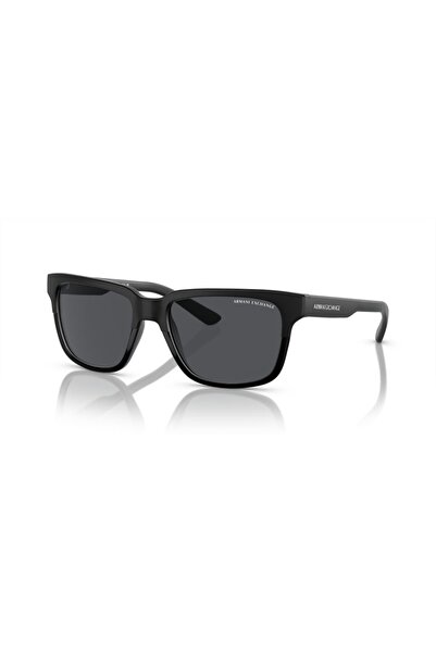 Armani Exchange AX4026S Güneş Gözlüğü 812287